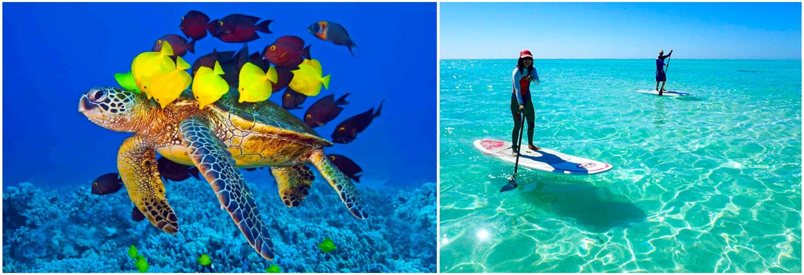 Iran's diverse nature