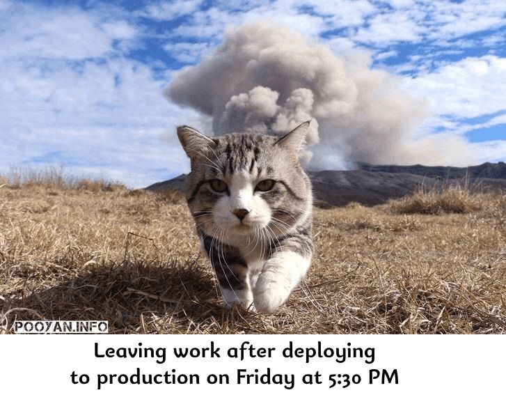 Cat leaving work Friday deployment explode