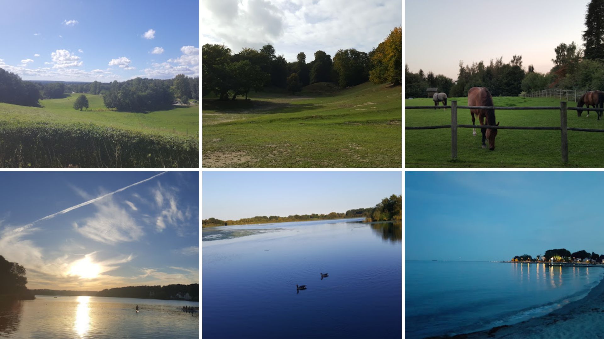 First year in Denrmark: Beautiful nature during the summer