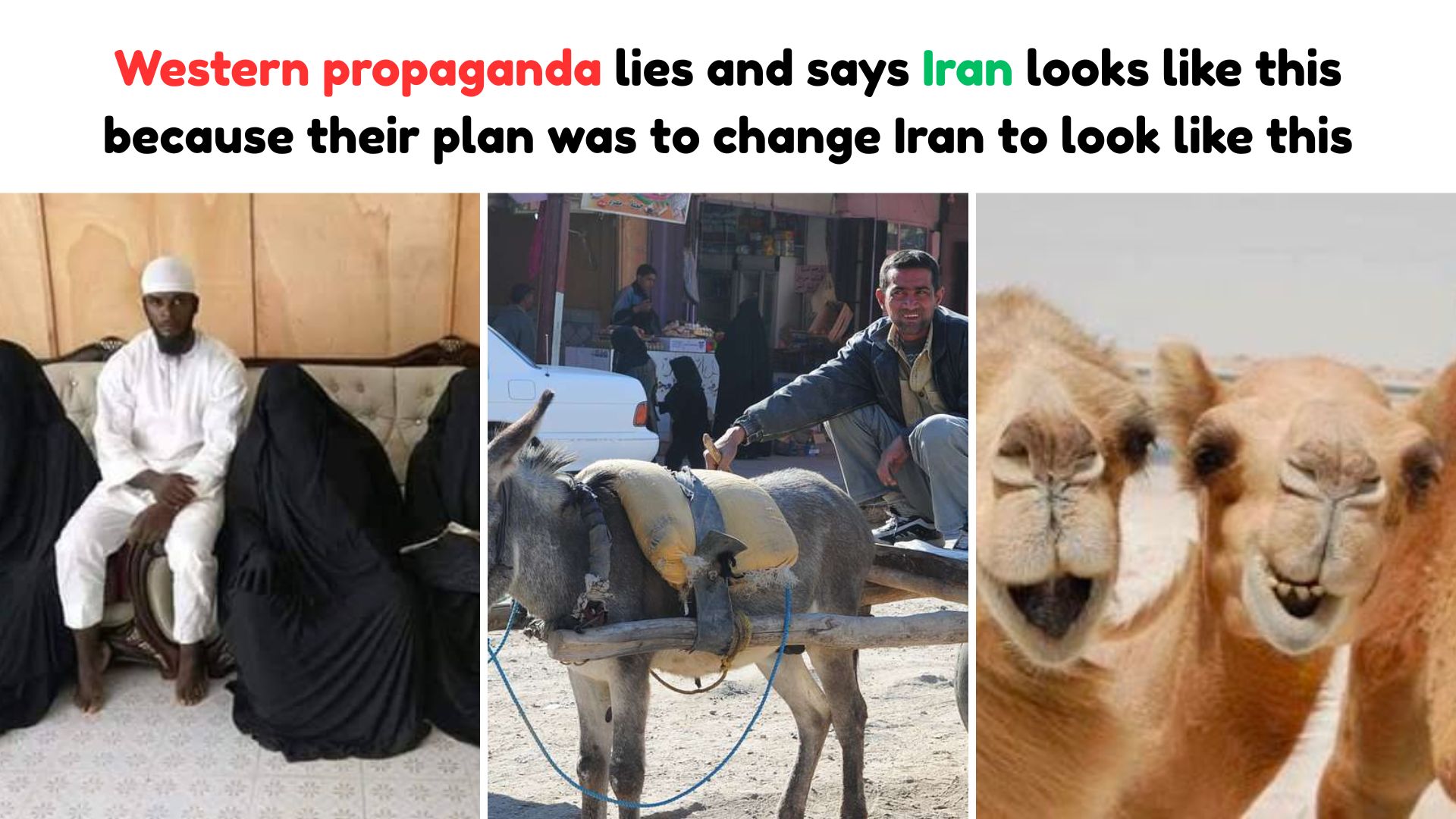 my leisure time in Iran